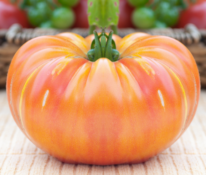 Oaxacan Jewel Tomato (Solanum lycopersicum) Seeds – 50 ct
