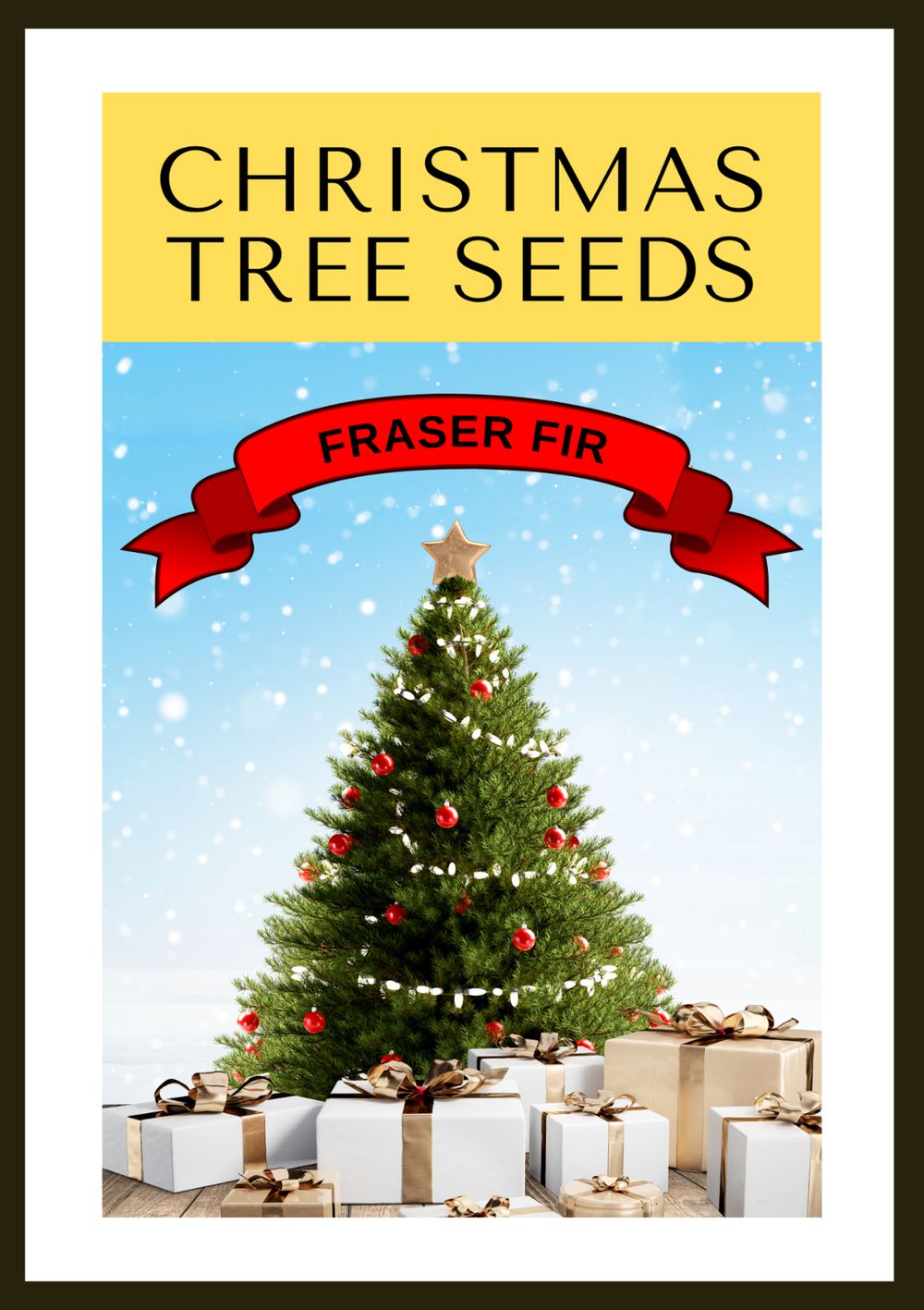 Fraser Fir ( Abies Fraseri ) Seeds
