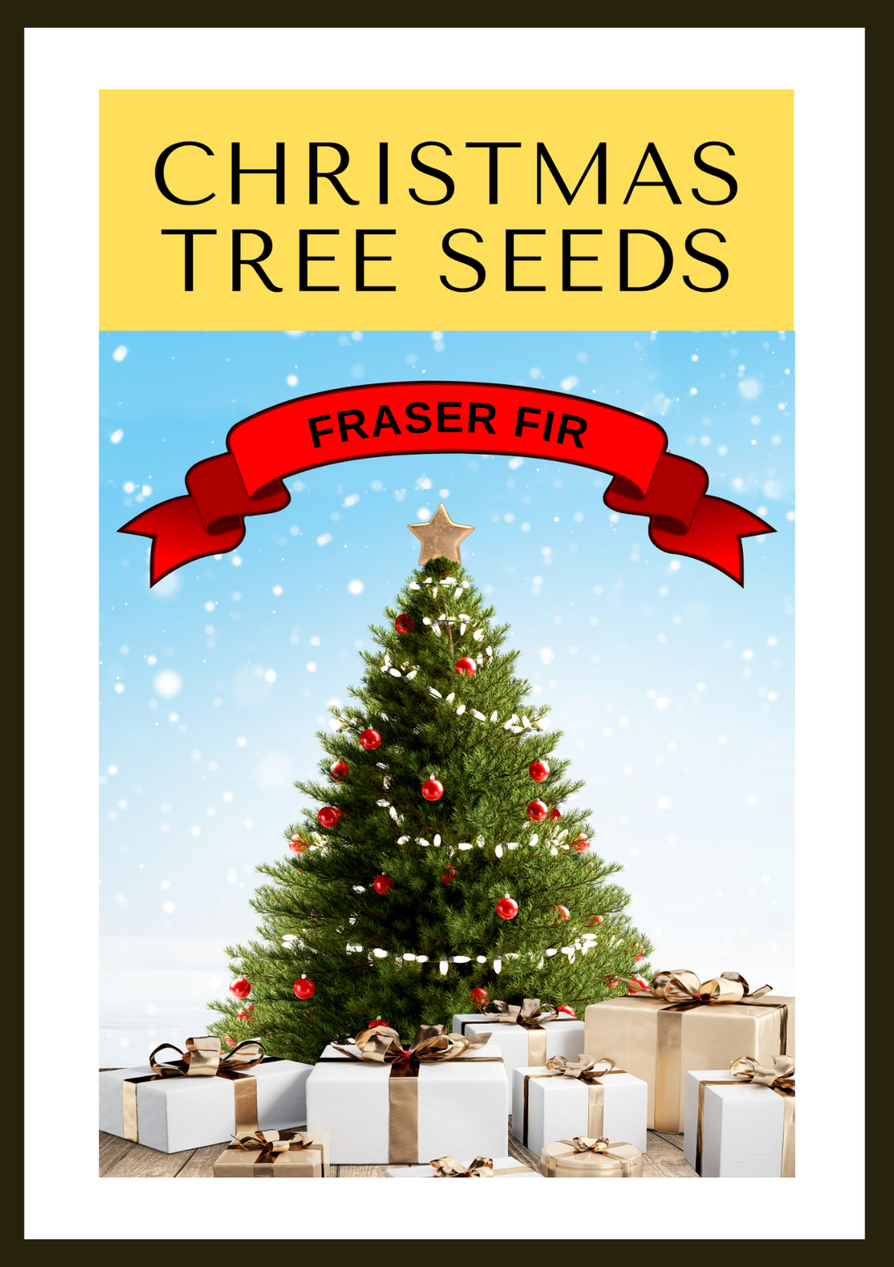 Fraser Fir ( Abies Fraseri ) Seeds