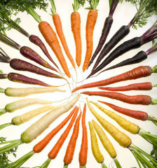 500 Rainbow Carrot Mix (Daucus Carrota) Seeds
