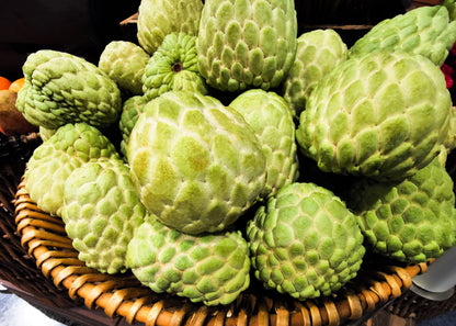 15 Sweetsop/ Custard Apple (Annona Squamosa) Seeds