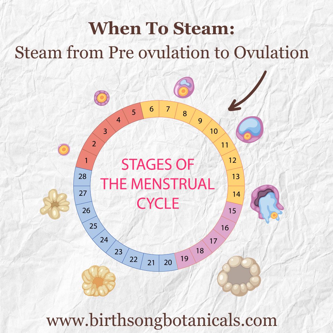 Yoni Steam for Fertility