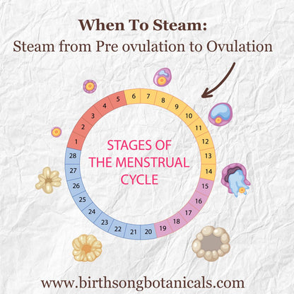 Yoni Steam for Fertility