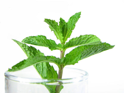 Himalayan Salt: Fine, Mint Infused