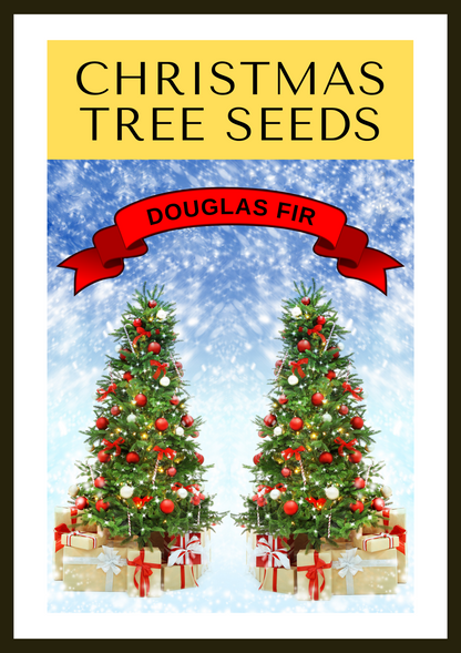 Douglas Fir (Pseudotsuga menziesii) Seeds – 20 ct