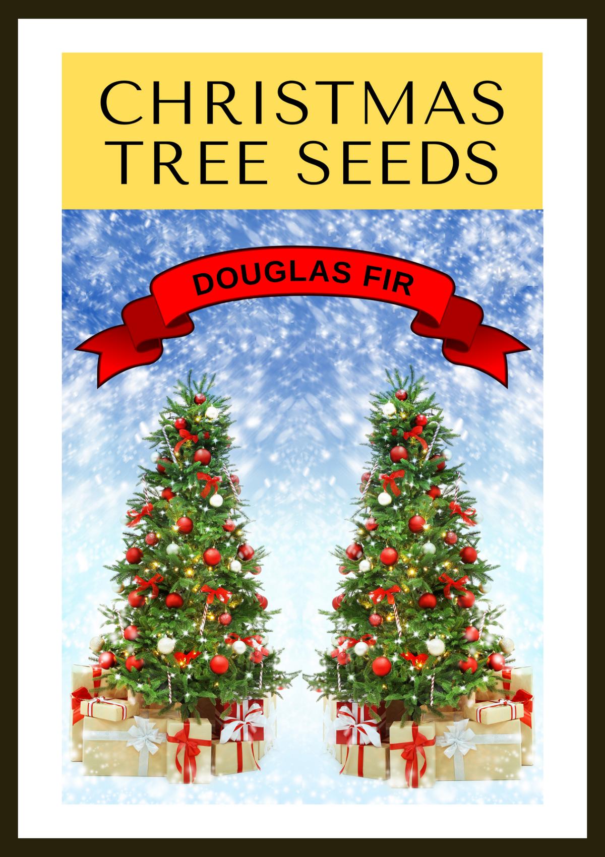Grow Your Own CHRISTMAS TREE - Douglas Fir ( Pseudotsuga Menziesii ) Gift Packet of Tree Seeds