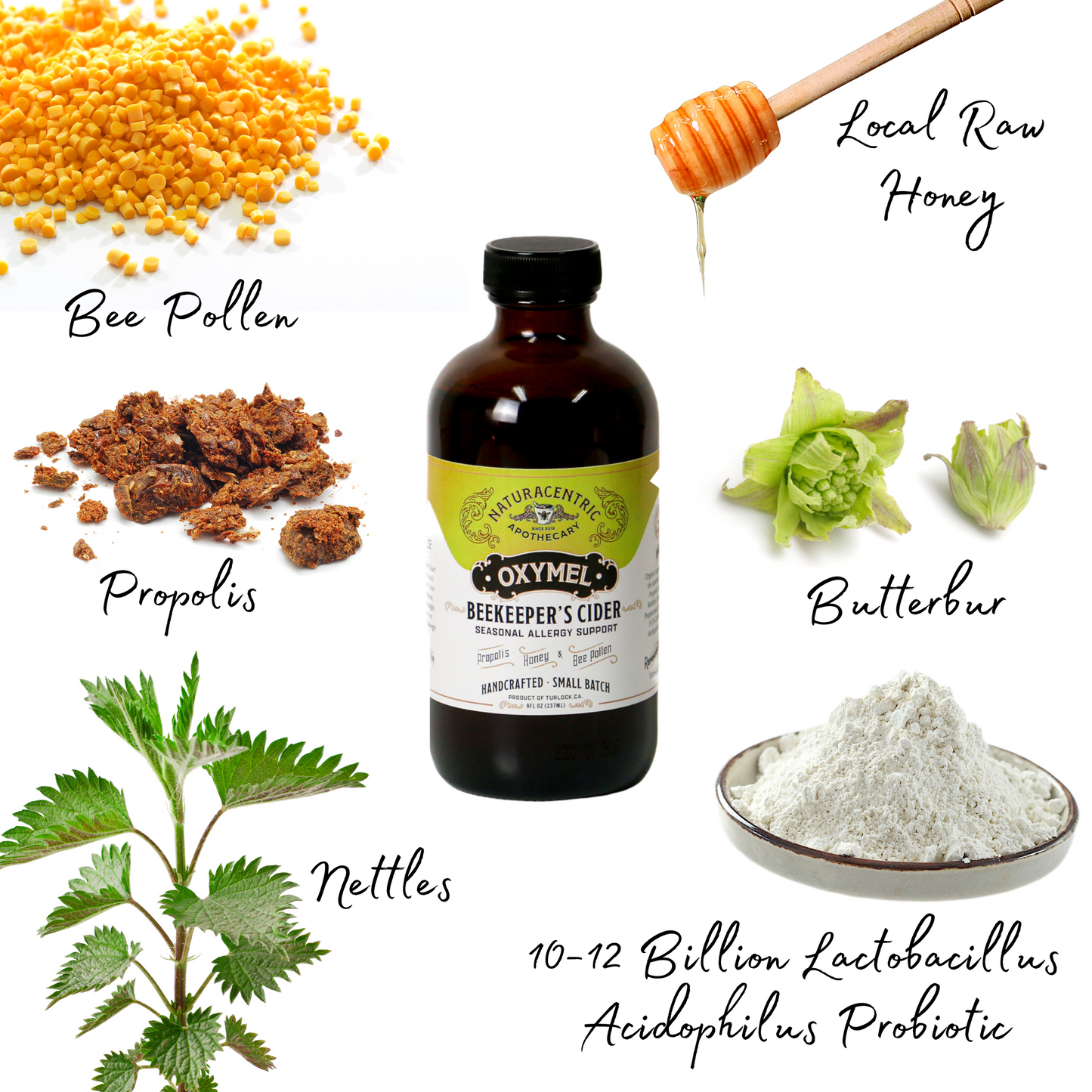 Beekeeper's Cider Oxymel