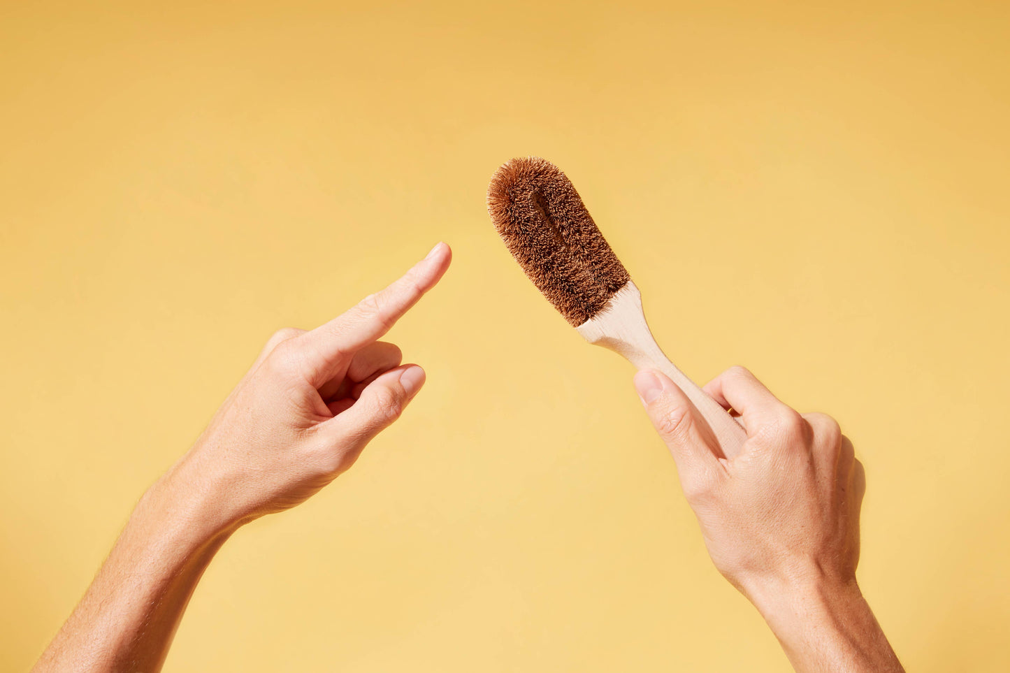 Dish Brush