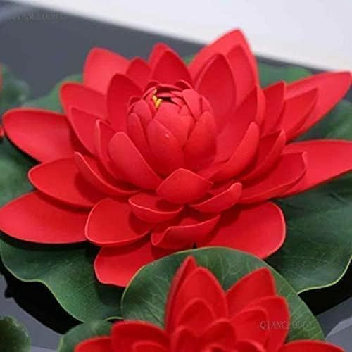Red Lotus Flower Seeds