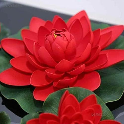 Red Lotus Flower Seeds
