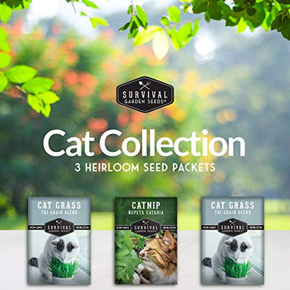 Cat Grass & Catnip Seed Collection – Fun, Healthy Greens & Enrichment Herbs for Indoor Cats