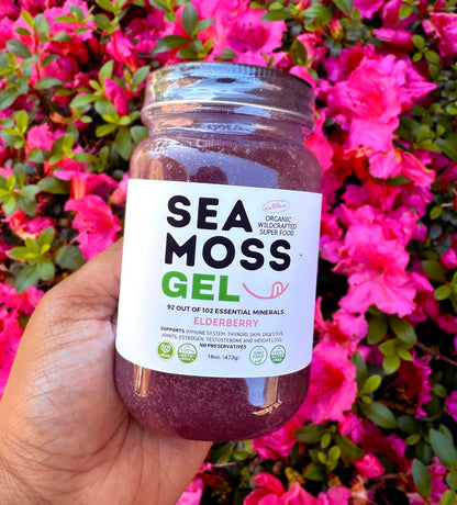 Flavored Sea Moss Gel