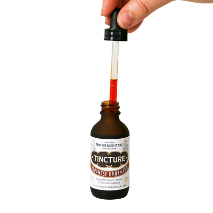 Japanese Knotweed Tincture