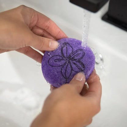 Facial & Body Cleansing Sponges
