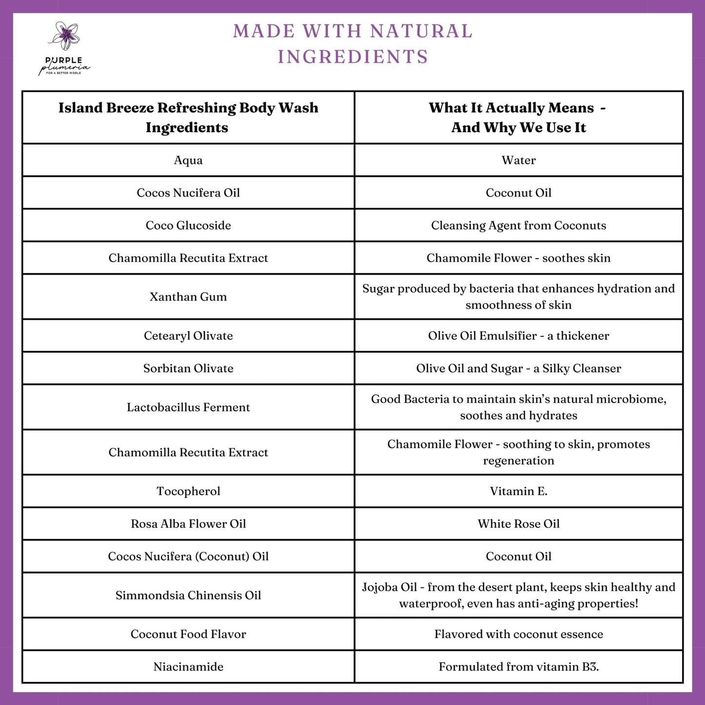 Natural Vegan Body Wash