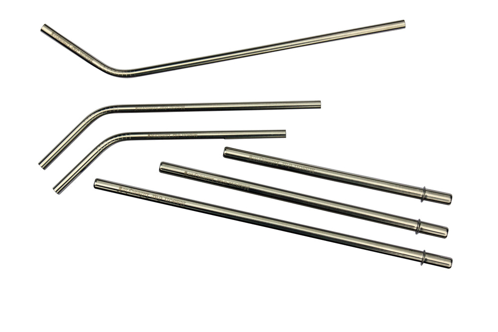 Individual Stainless Steel & Glass Straws for Mason Jars
