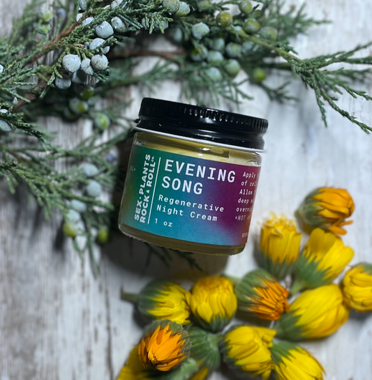 Evening Song - Regenerative Night Cream