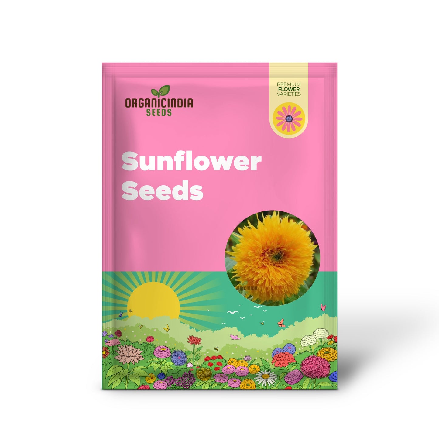 Orange Sun Sunflower Seeds