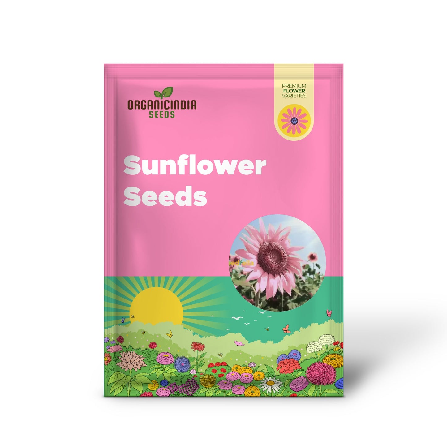 Pink Sunflower Seeds
