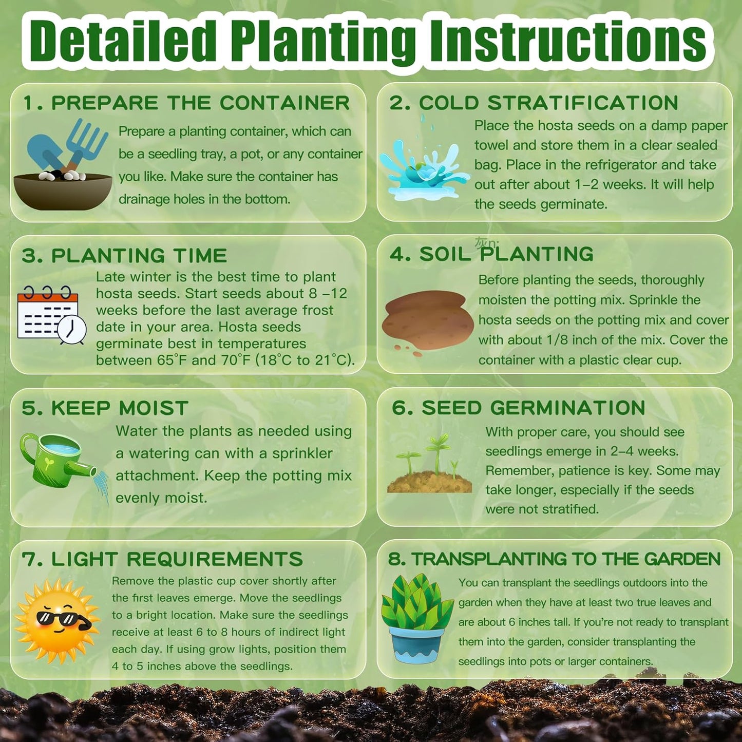 Blue And Purple Hosta Seeds