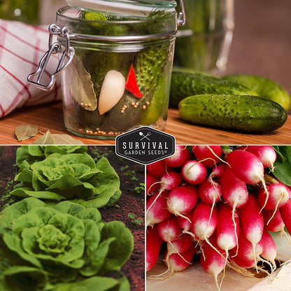 Kid’s Easy Garden Seed Collection – 6 Fast-Growing Vegetables & Herbs for Beginner Gardeners