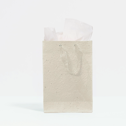 Plant & Grow Gift Bag (Handmade Seed Paper + Ribbon Handles)