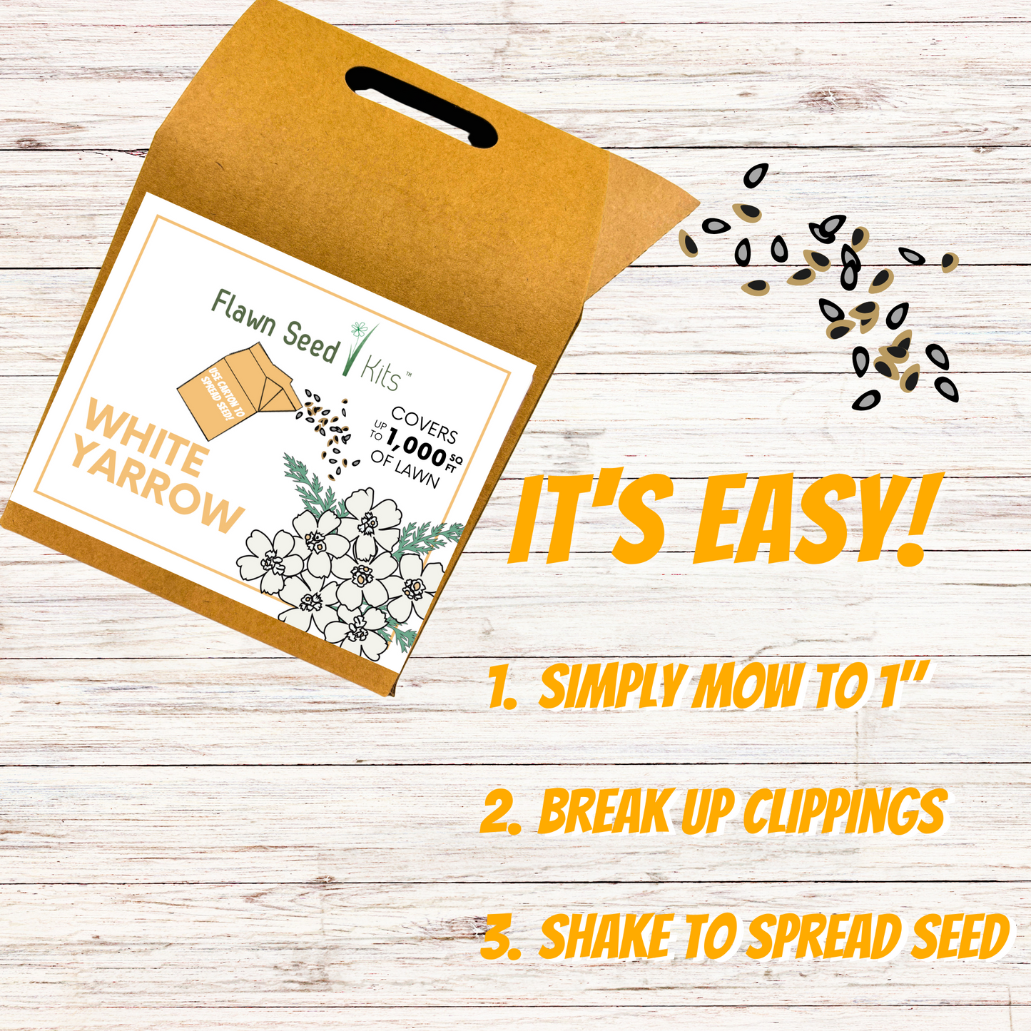 White Yarrow Eco-Friendly Seeding Kit