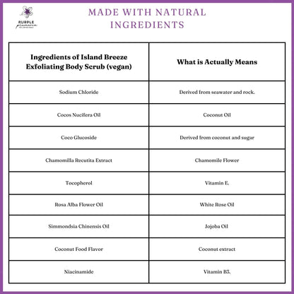 Natural Vegan Body Scrub (Rose or Coconut)