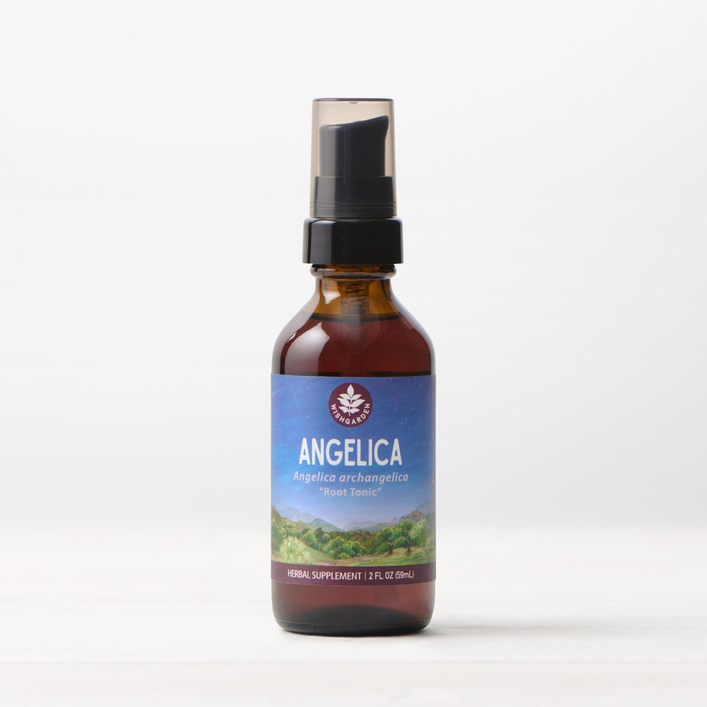 Angelica Simple