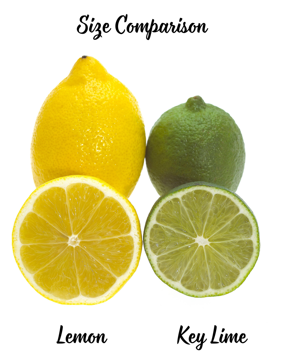 15 Key Lime (Citrus Aurantifolia) Seeds