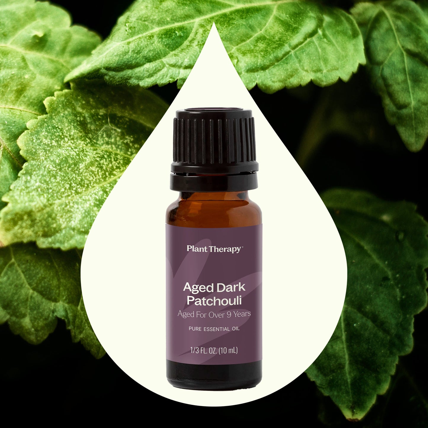 Aged Dark Patchouli Essential Oil