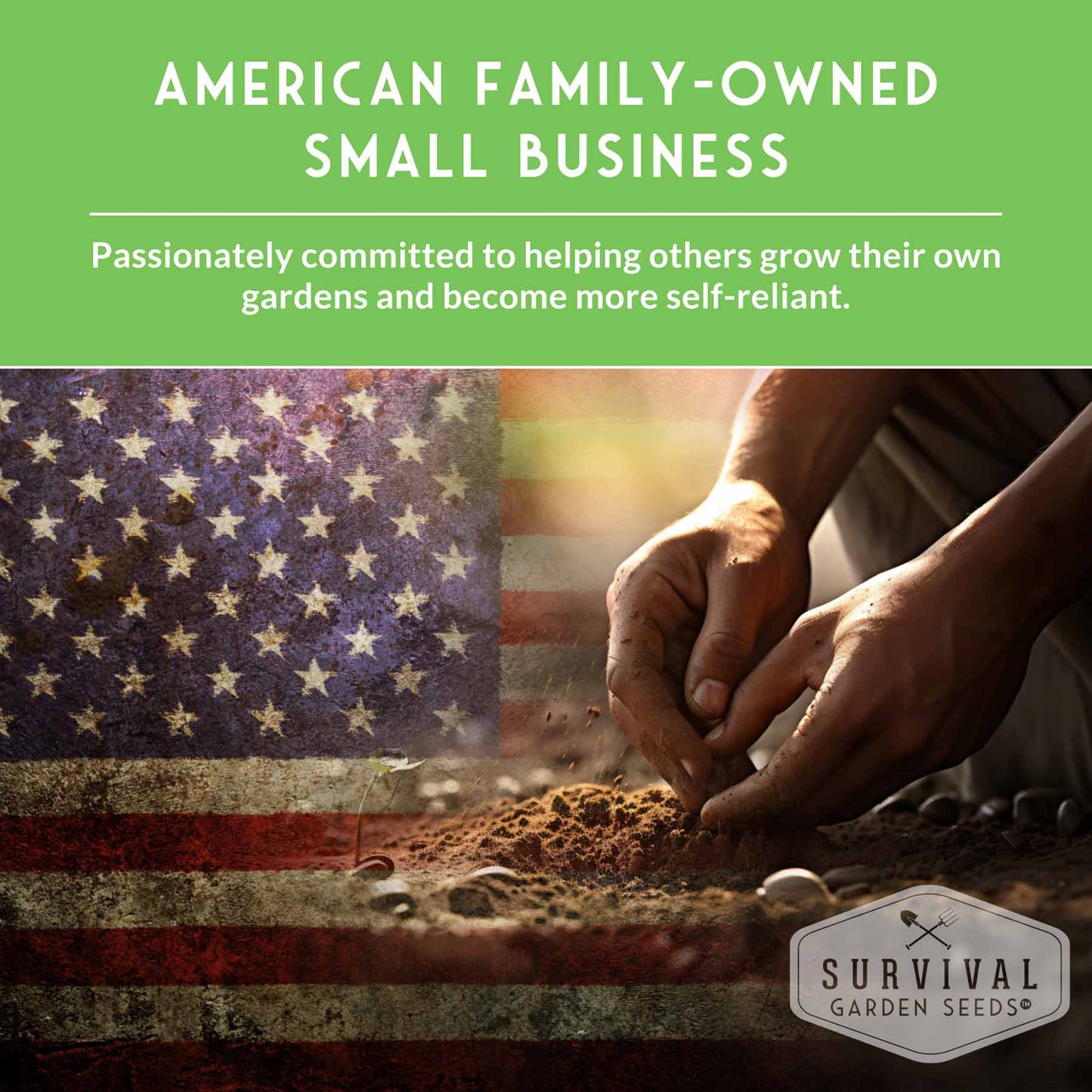 Cool Weather Garden Seeds Collection – 5 Heirloom Non-GMO Vegetables for Fall & Spring Planting | Cold-Hardy Greens & Herbs