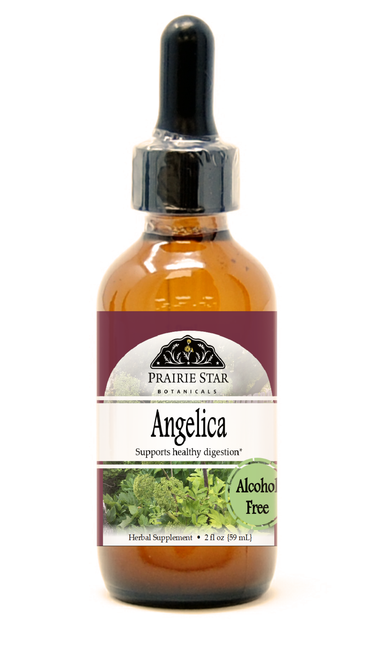 Angelica Root Tincture or Glycerite