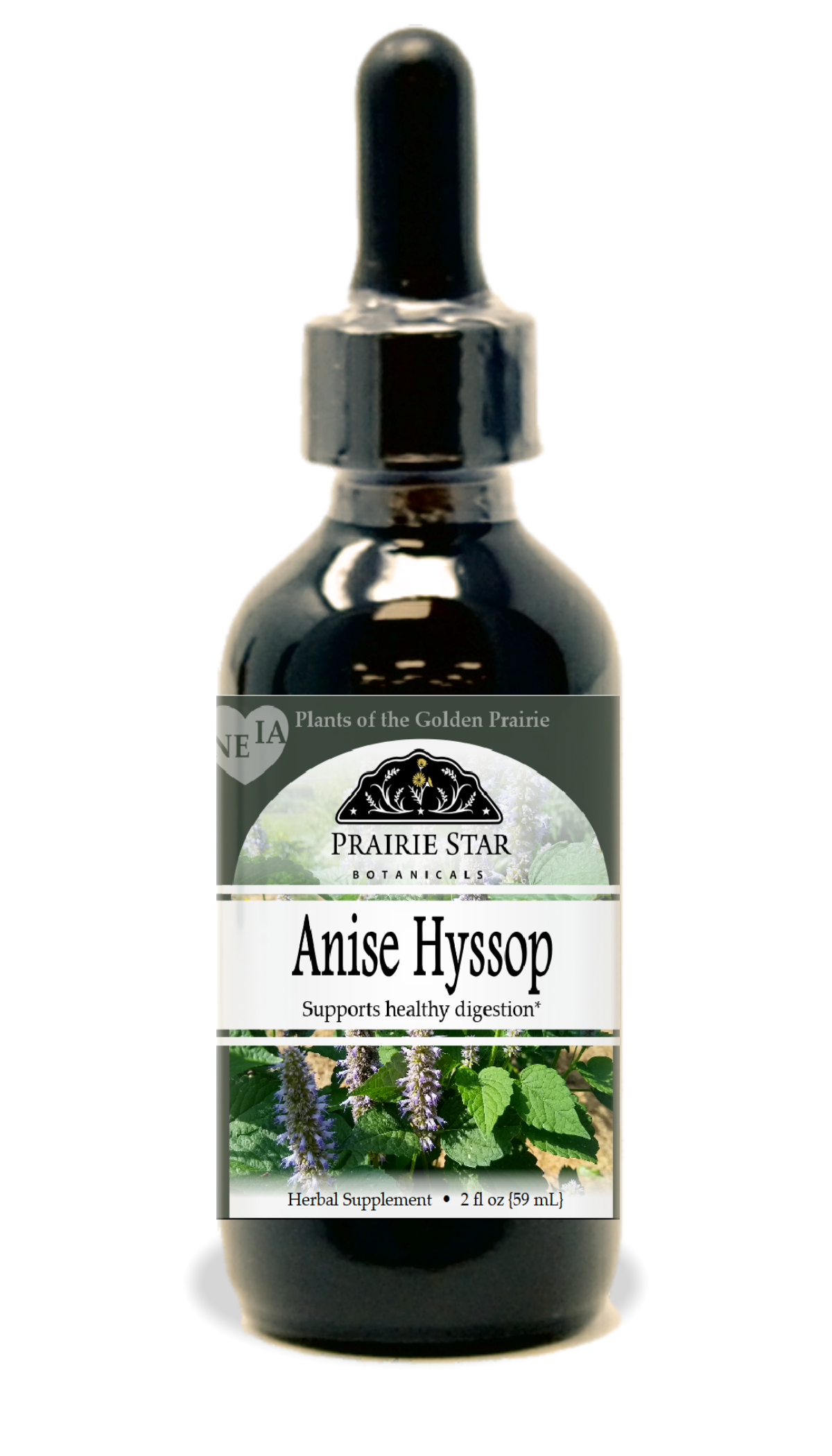 Anise Hyssop Tincture or Glycerite