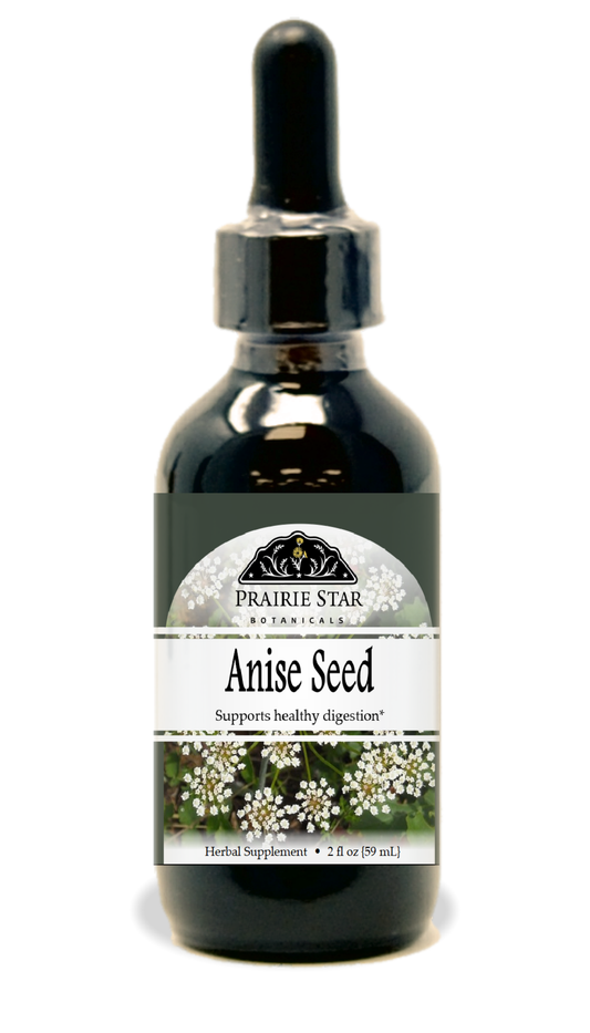 Anise Seed Tincture or Glycerite