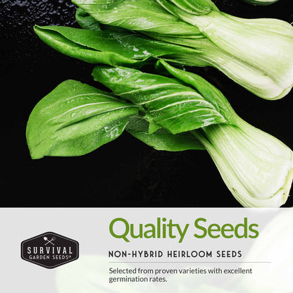 Asian Vegetable Seed Collection – 6 Heirloom, Non-GMO Varieties for Stir-Fries, Soups & Authentic Home Cooking