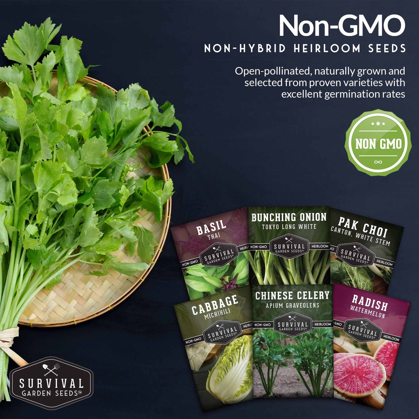 Asian Vegetable Seed Collection – 6 Heirloom, Non-GMO Varieties for Stir-Fries, Soups & Authentic Home Cooking