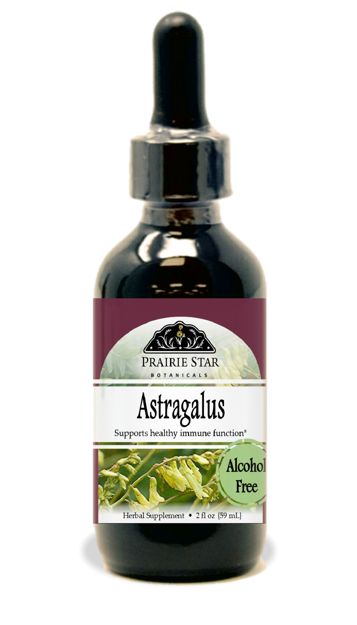 Astragalus Tincture or Glycerite