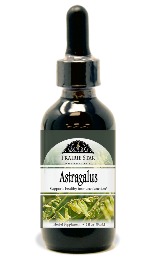 Astragalus Tincture or Glycerite