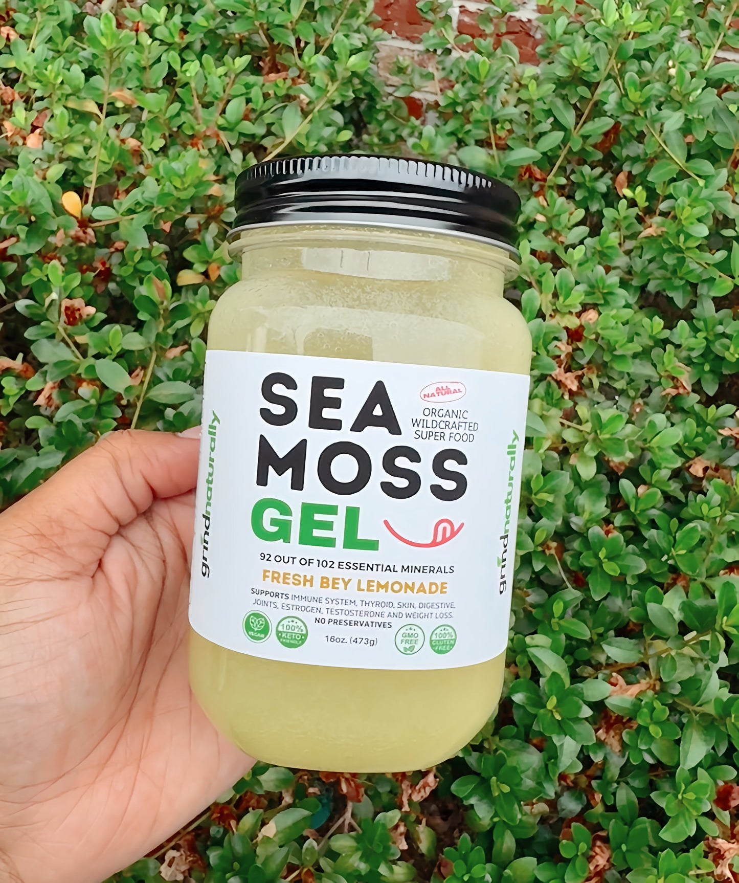 Flavored Sea Moss Gel