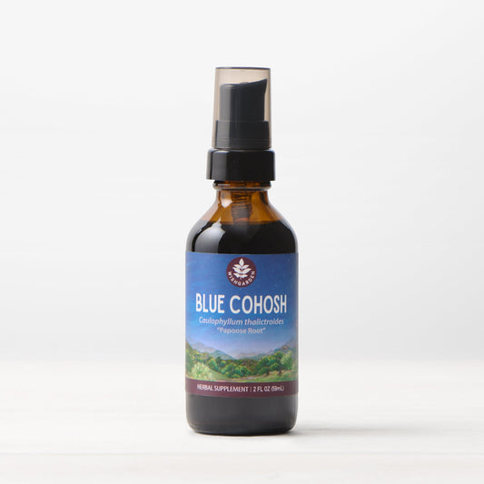 Blue Cohosh Simple
