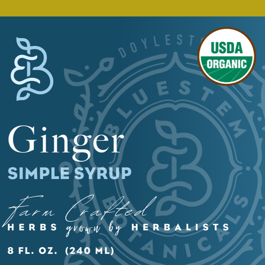 Ginger Simple Syrup