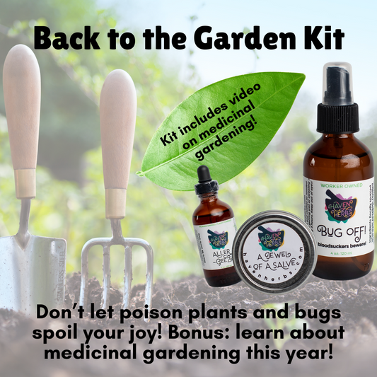 Seasonal Herbalism Kits