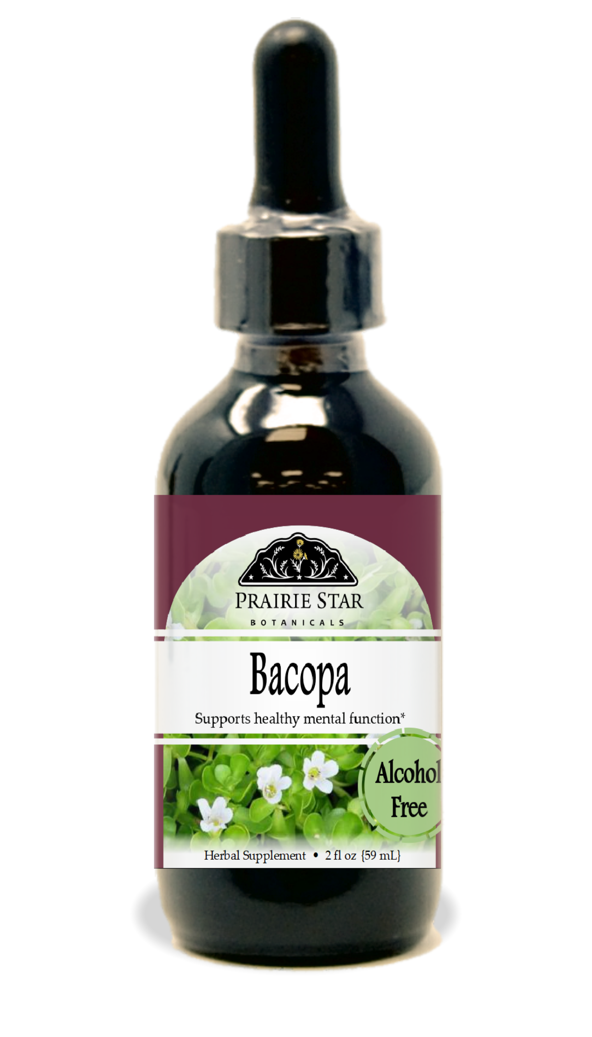Bacopa Tincture or Glycerite