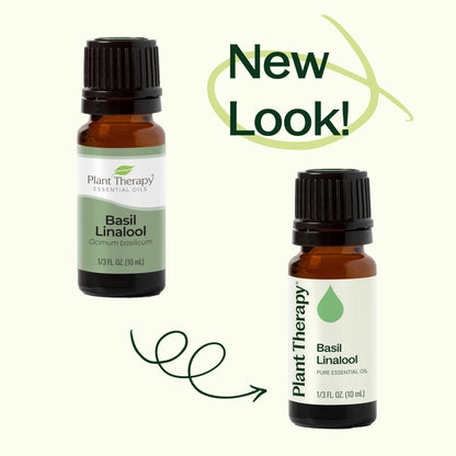 Basil Linalool Essential Oil