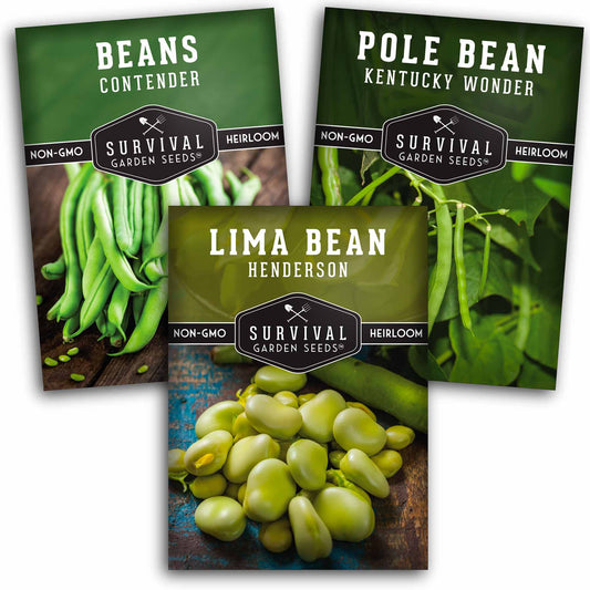 Bean Seed Collection - 3 Prolific Varieties