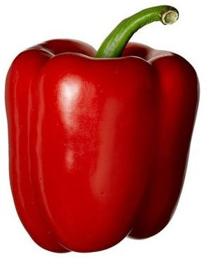 Bell Pepper-Lalbagh