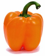 Bell Pepper-Narangi