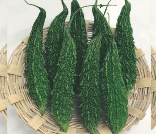 Bitter gourd-Bahadur