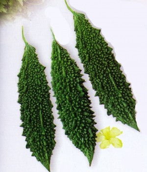 Bitter gourd-Jawahar